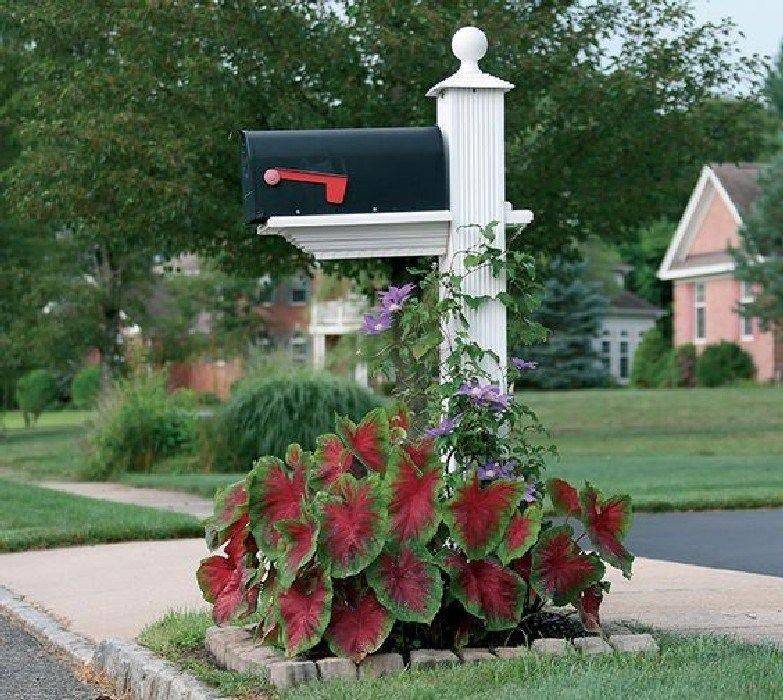Adorable Mailbox Ideas