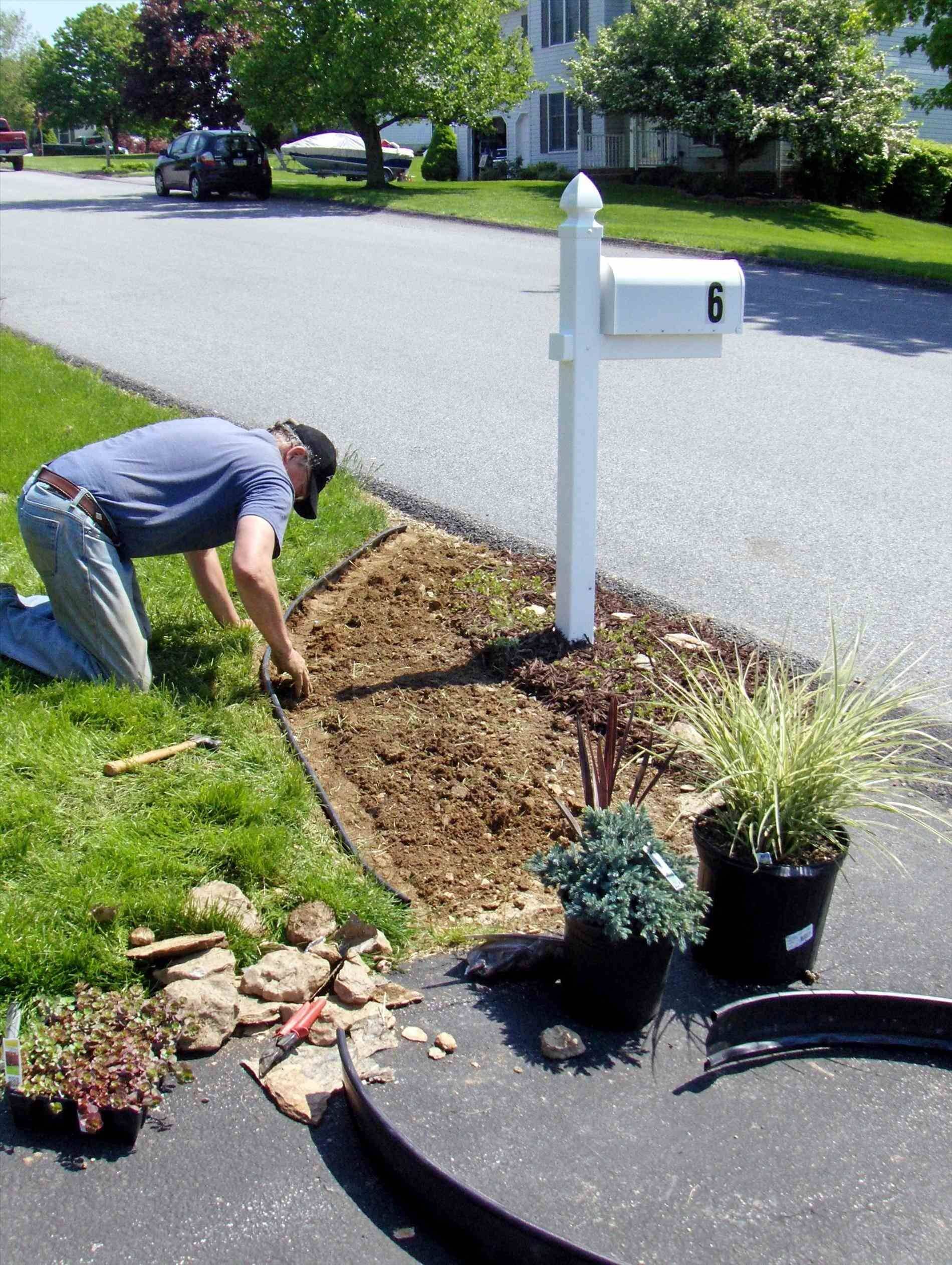 Fall Mailbox Garden Ideas Photograph Mailbox Gardening Ide