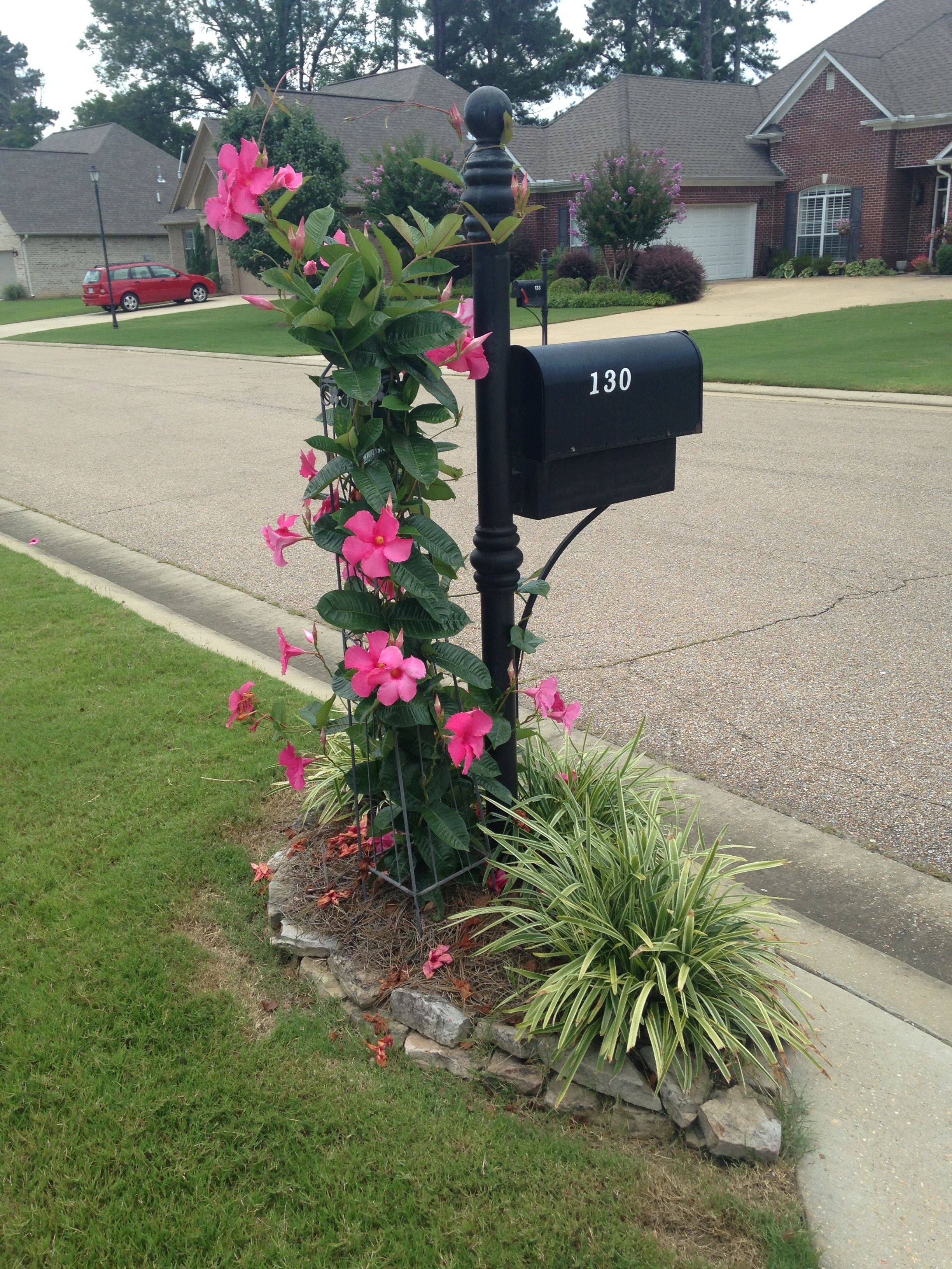Home Mailbox Landscaping