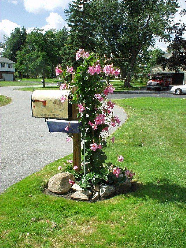 Mailbox Garden Design