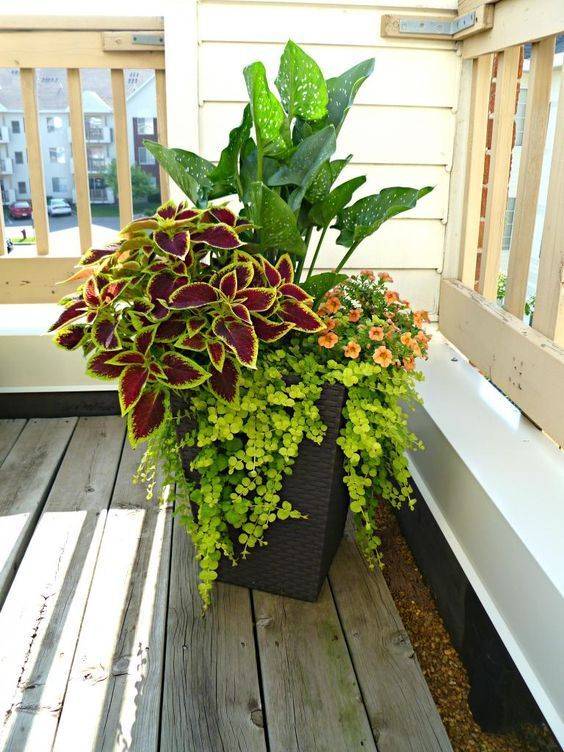 Your Street Mailbox Planter