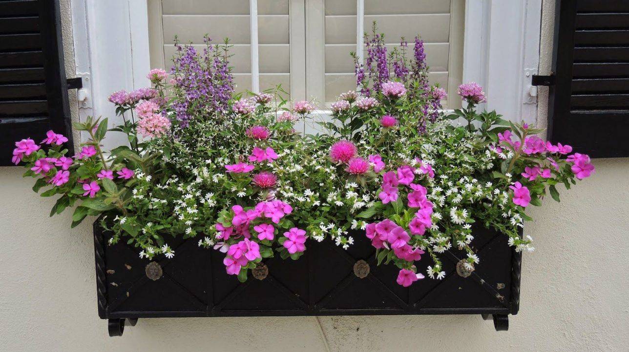 Your Street Garden Lovers Club