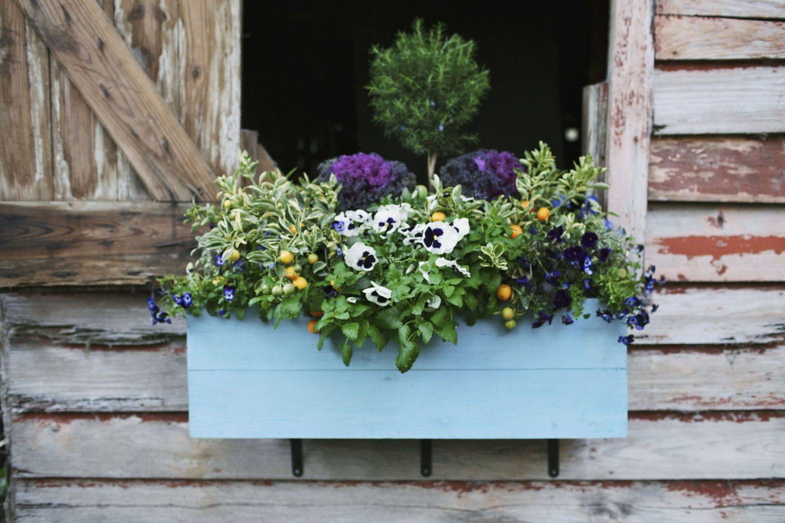 Your Street Garden Lovers Club