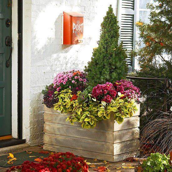 Fabulous Summer Container Garden Flowers Ideas