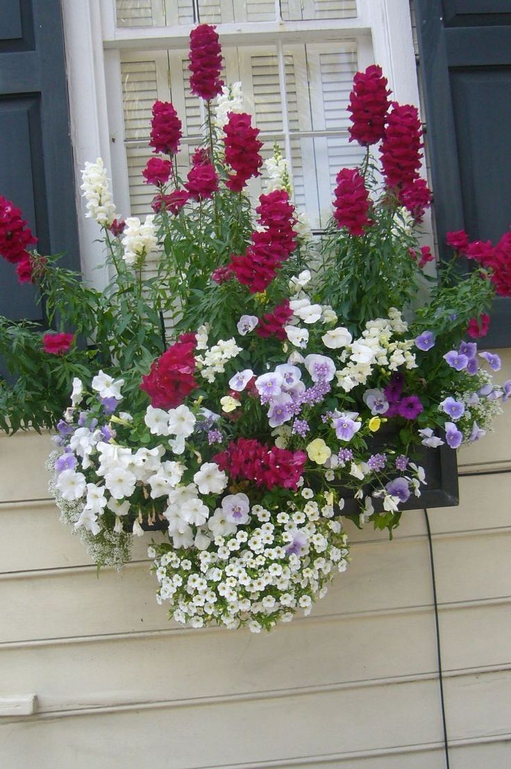 Wonderful Summer Container Garden Flower Ideas Page
