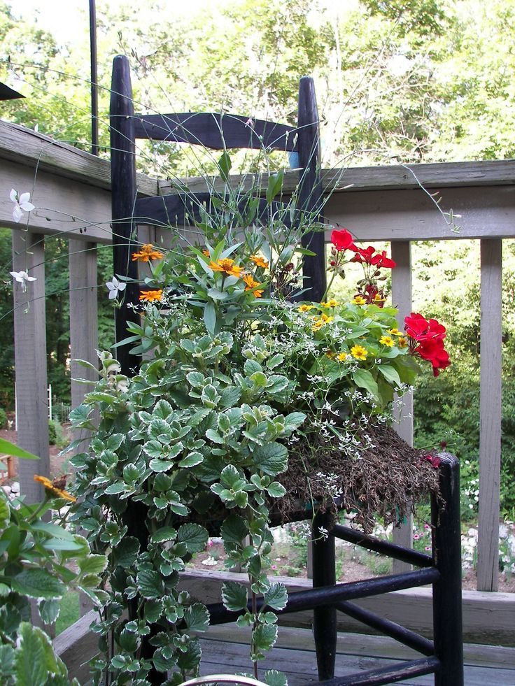 Beautiful Summer Container Garden Flowers Ideas Container Herb