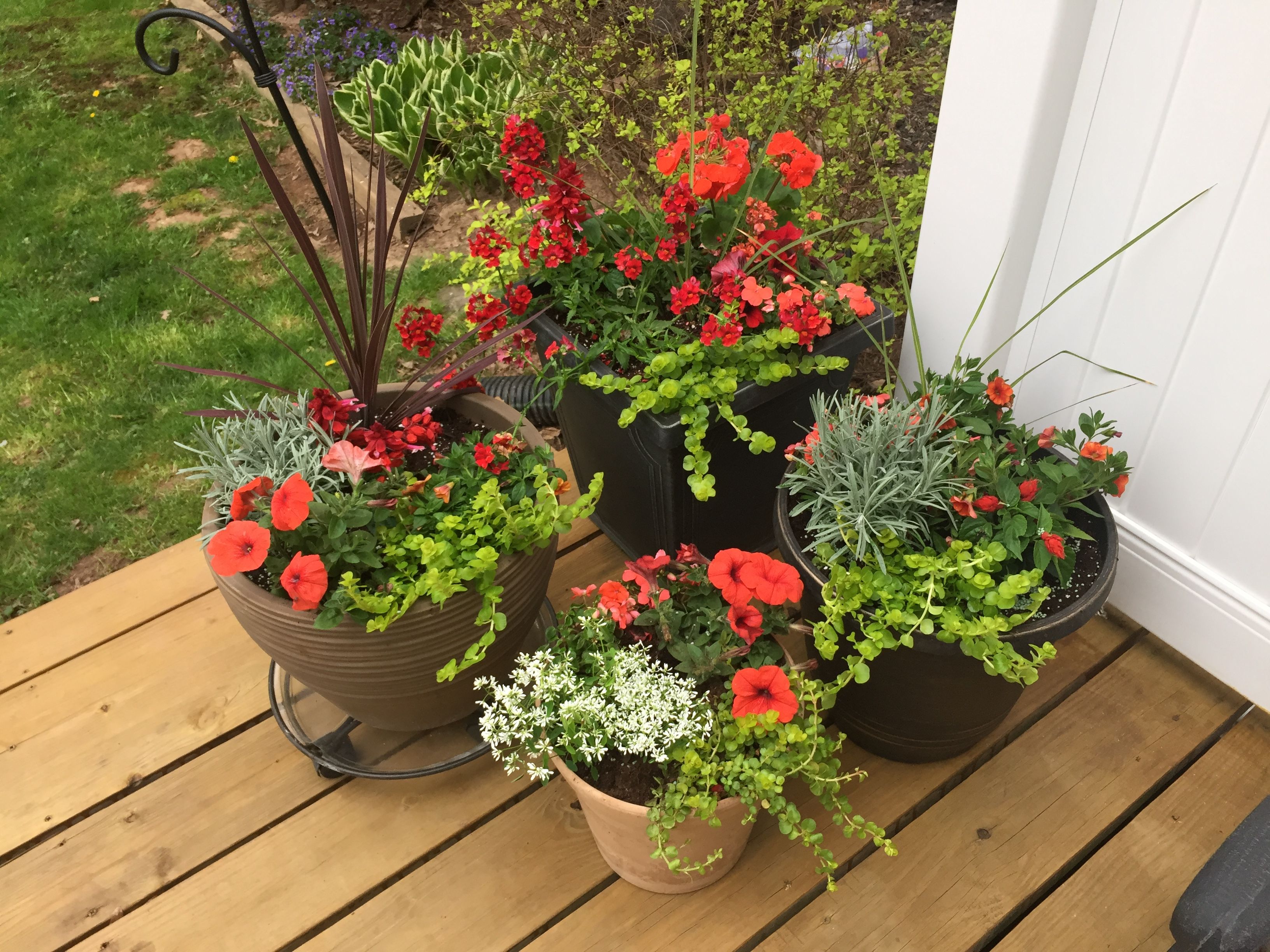 Awesome Favorite Garden Boxes Raised Design Ideas Https