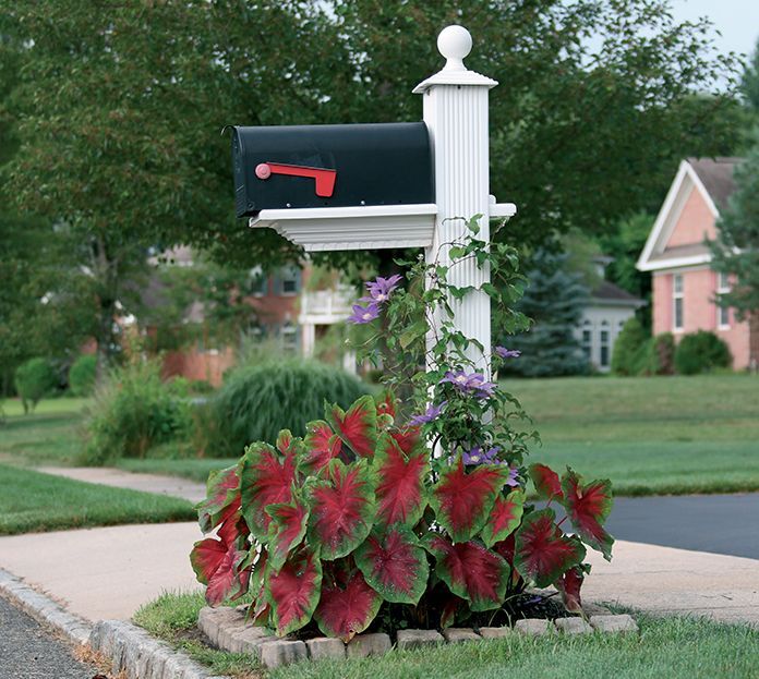 Container Gardening