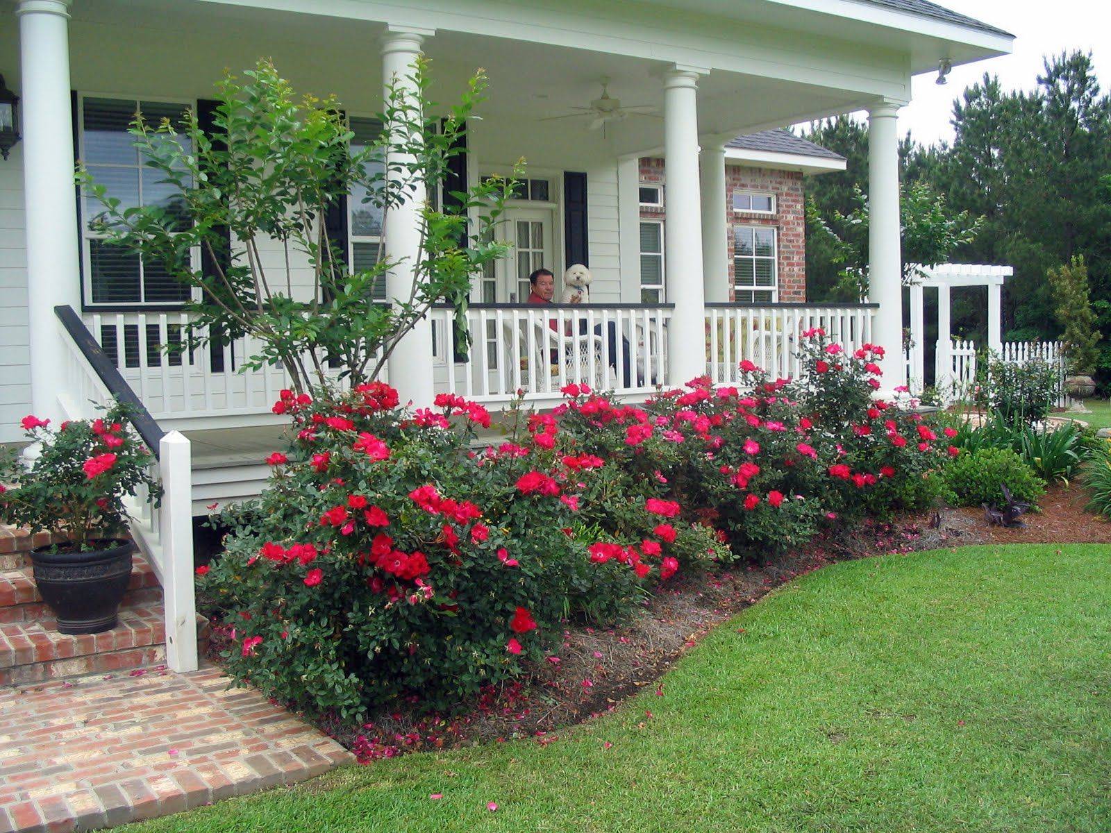 Front Porch Landscape Ideas