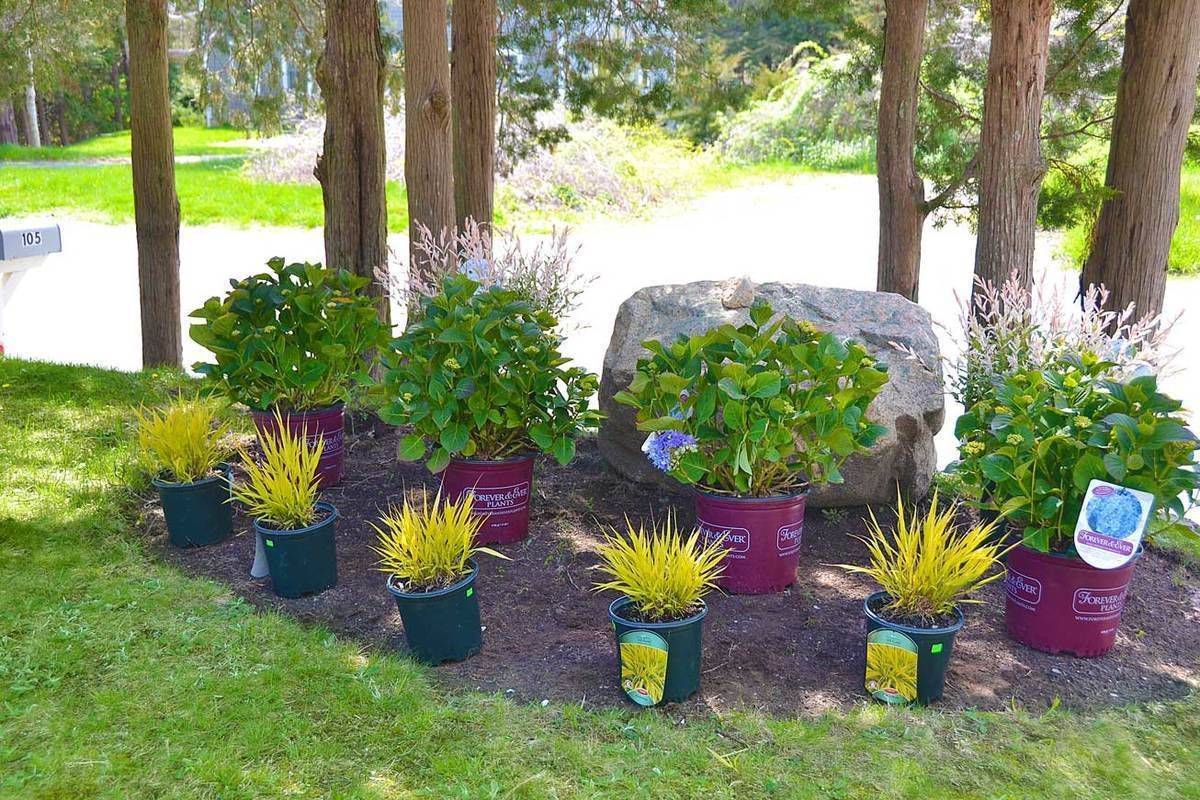 Garden Design Ideas