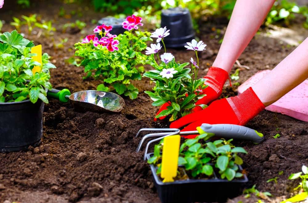 Beautiful Diy Flower Garden Ideas Design