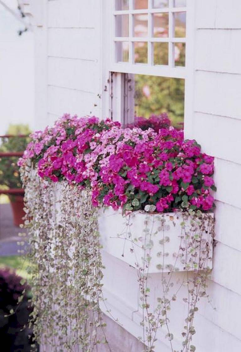 House Small Flower Gardens