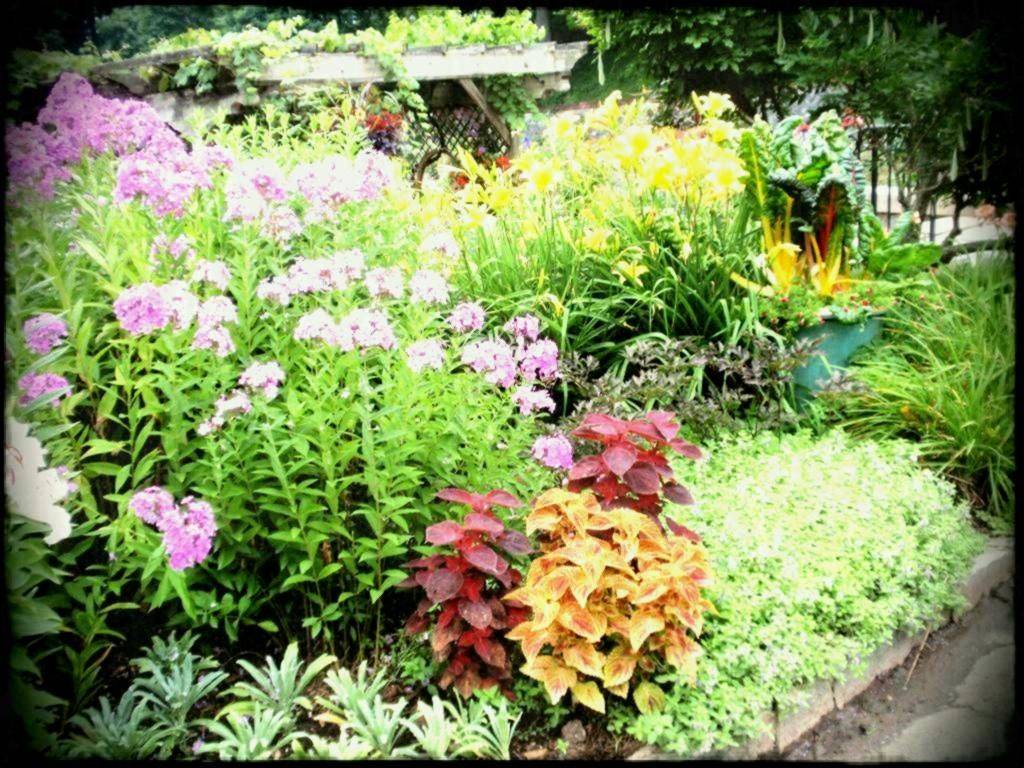Flower Gardening