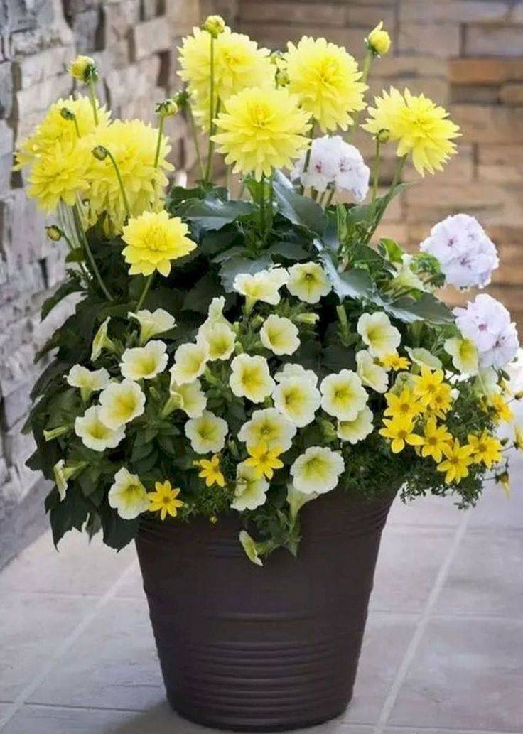 Simple Container Garden Flowers