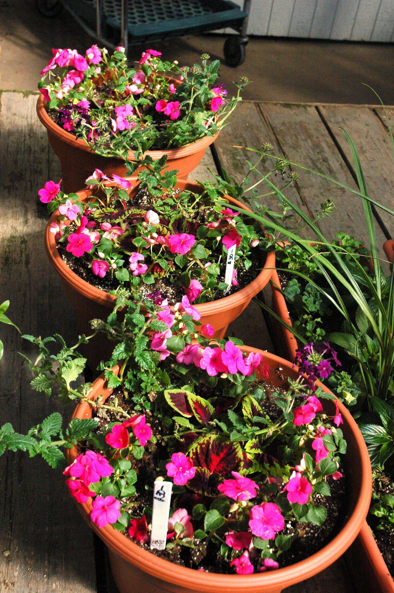 Luxury Flower Garden Ideas