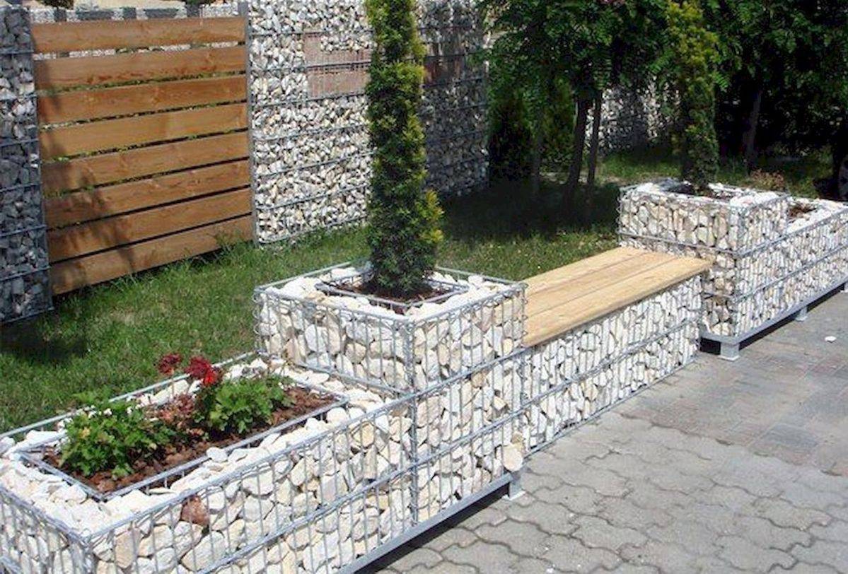 Your Decorative Garden Genmice