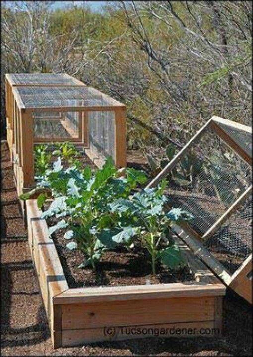 Cheap Easy Diy Raised Garden Bed Ideas