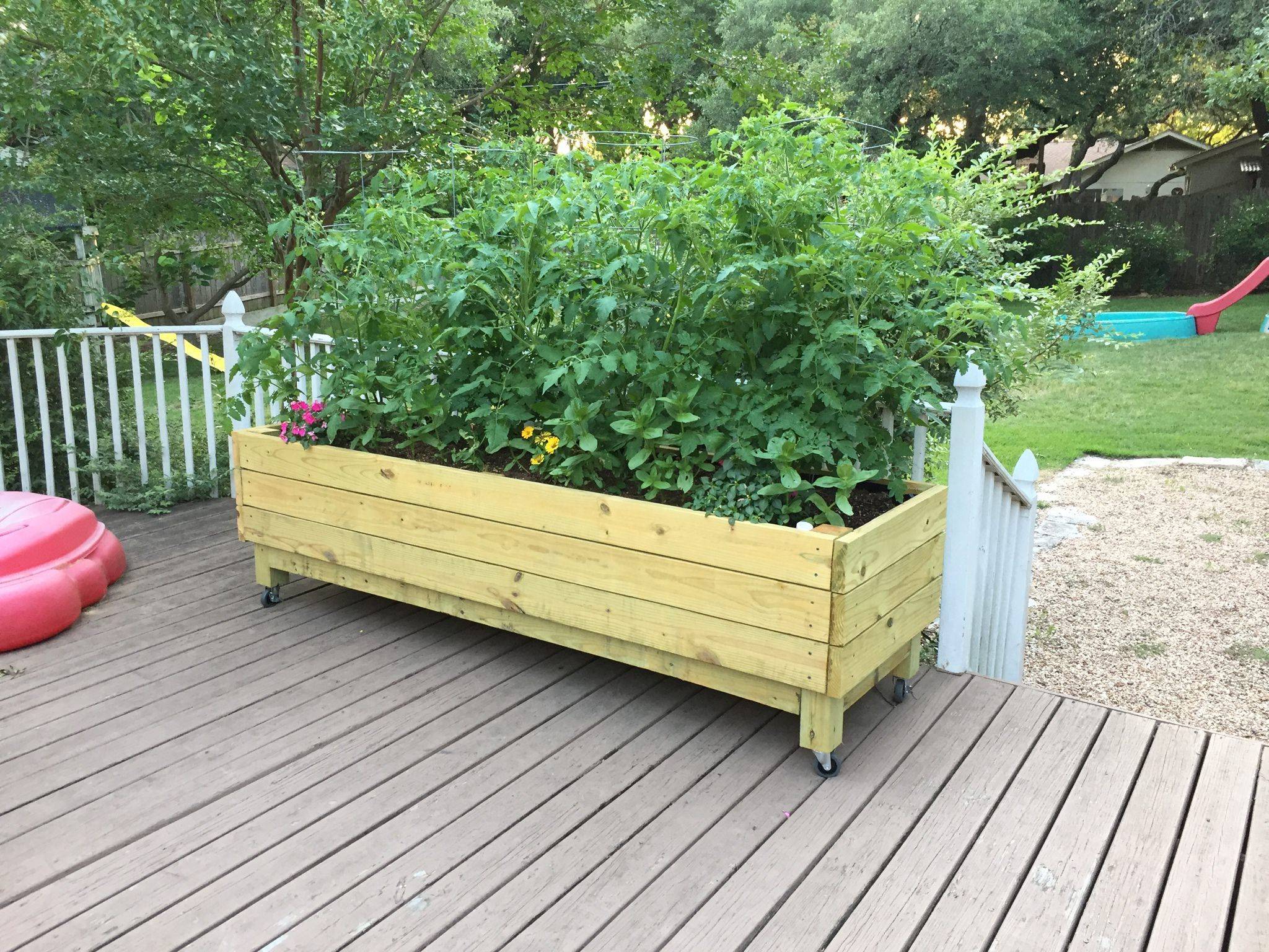 Cheap Backyard Ideas