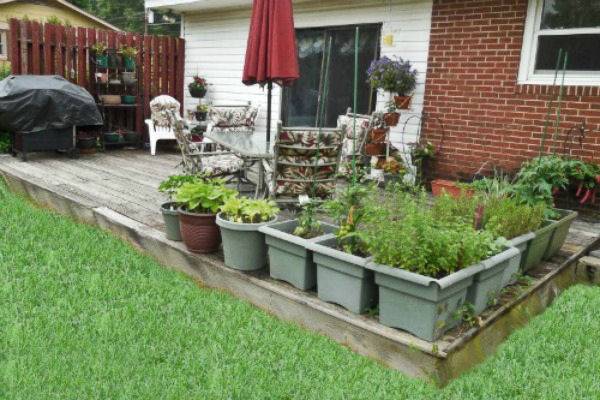 Uniqu Diy Vegetable Garden Ideas