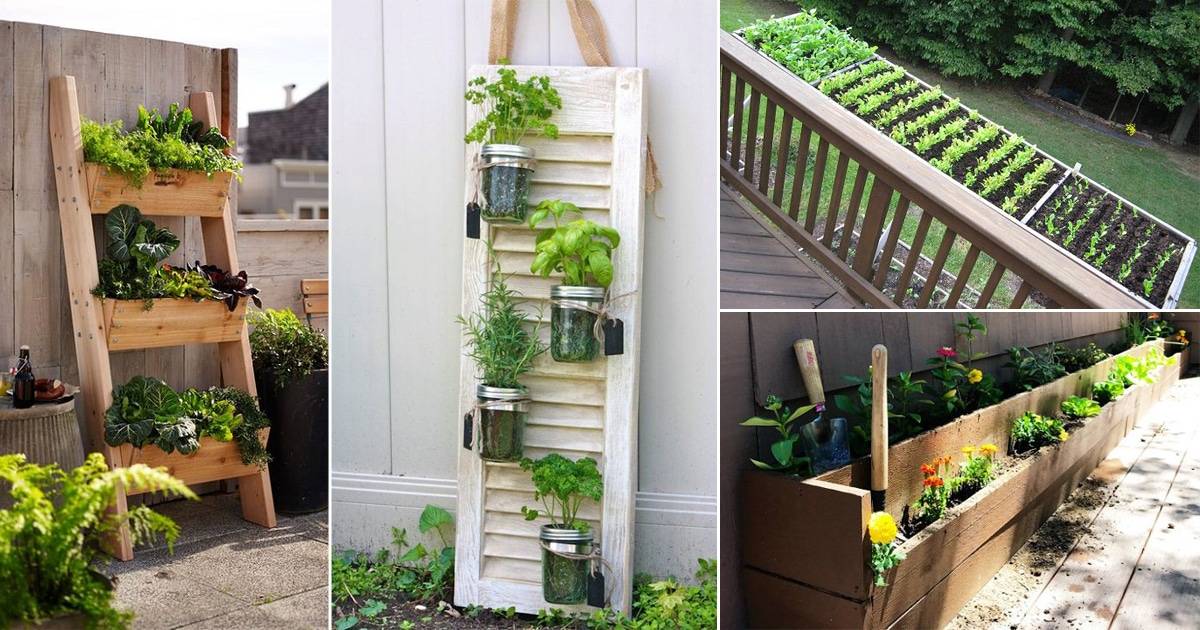 Stunning Vegetable Garden Design Ideas