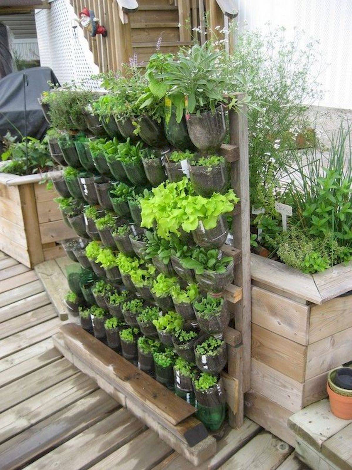 Container Gardening Patio Small Spaces