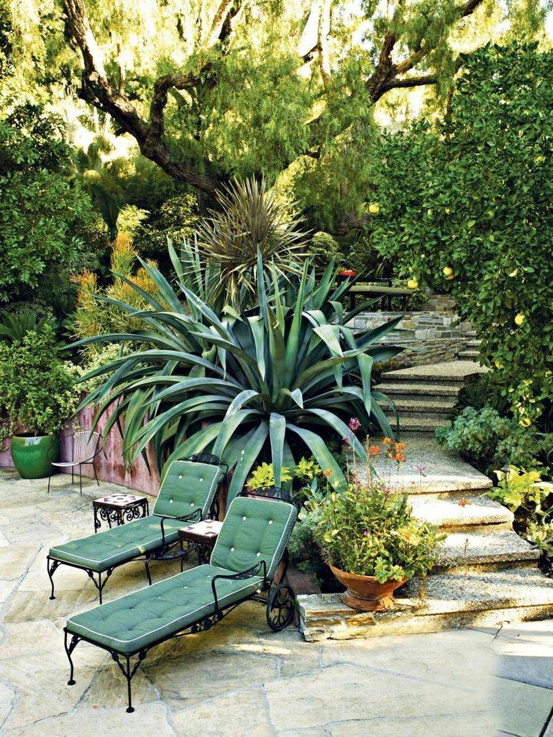 The Home Front Yard Landscaping