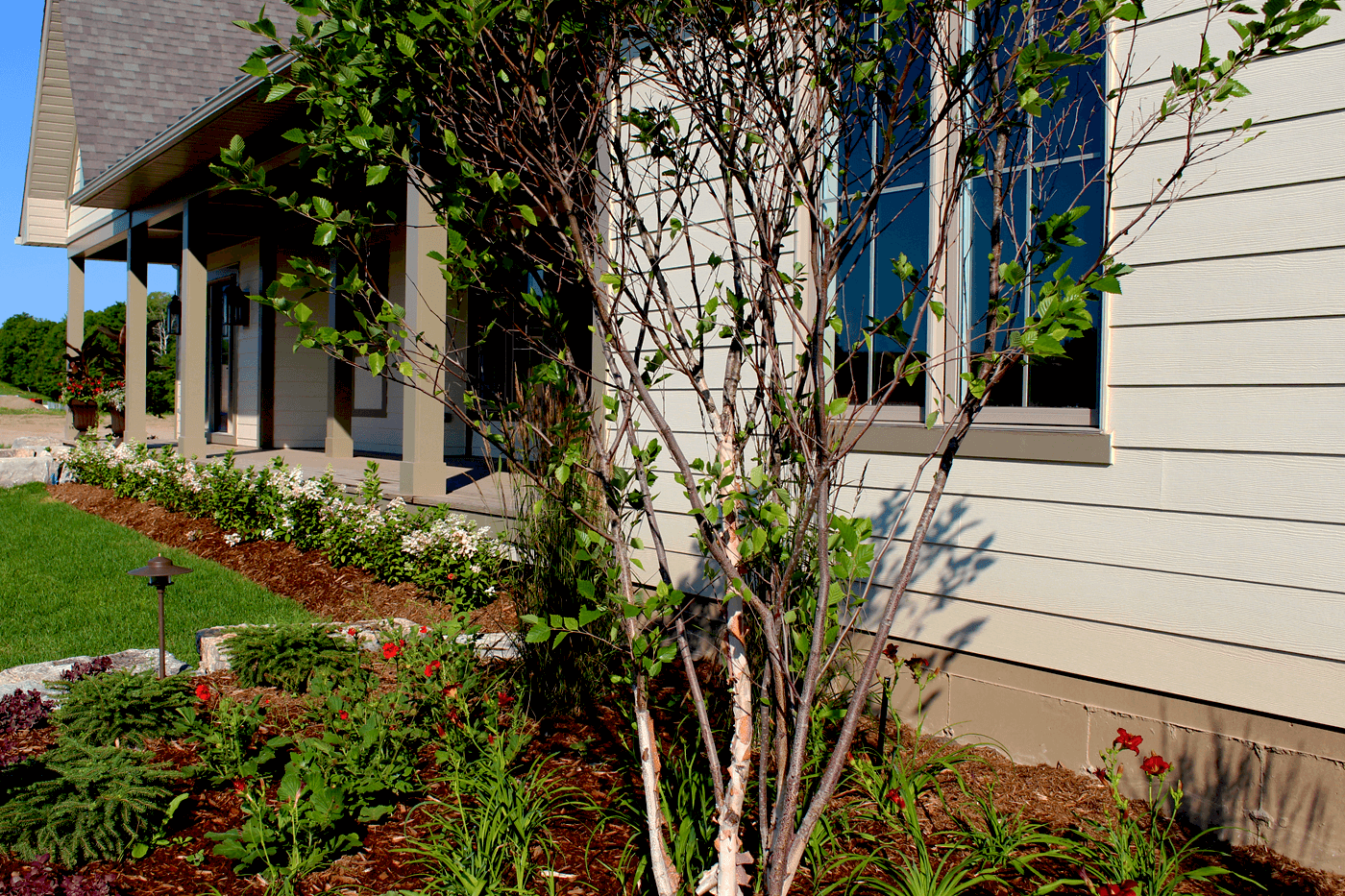 Creative And Frugal Ideas