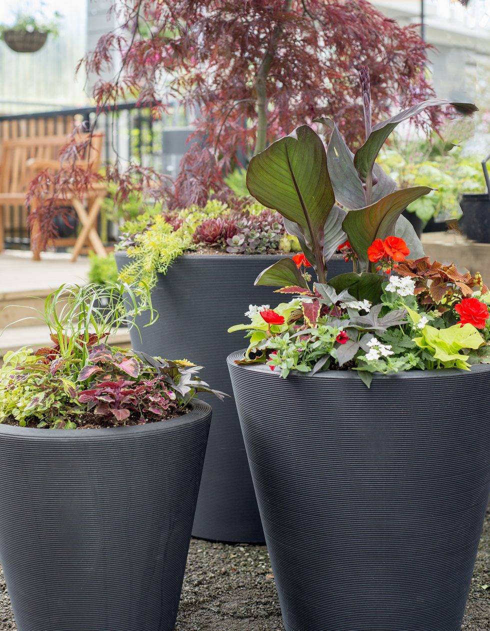 Exquisite Easy Container Gardening Ideas