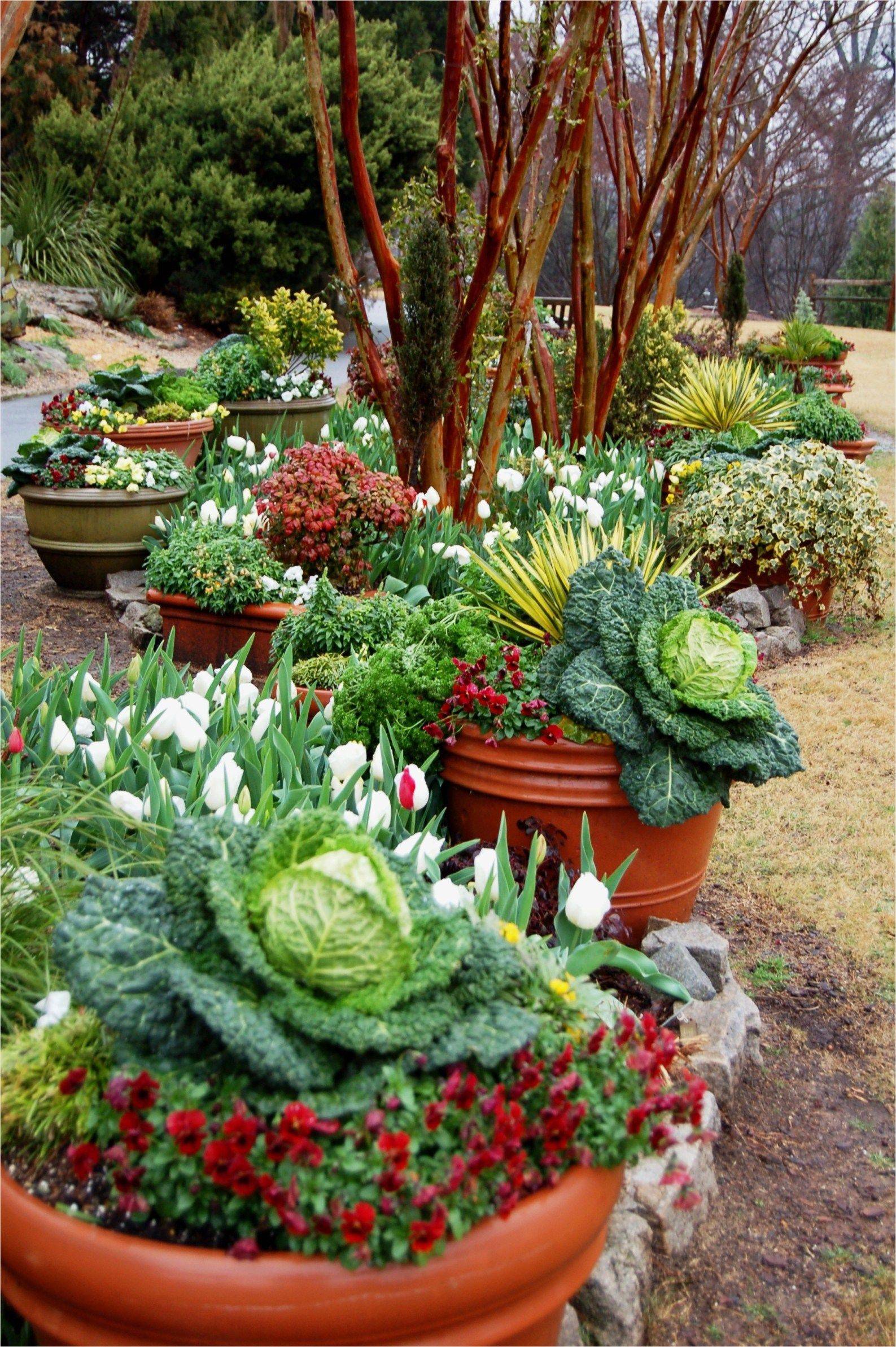 A Decorative Container Vegetable Garden