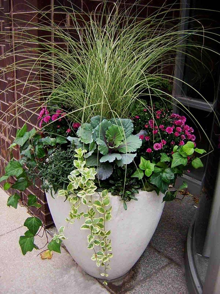 A Decorative Container Vegetable Garden