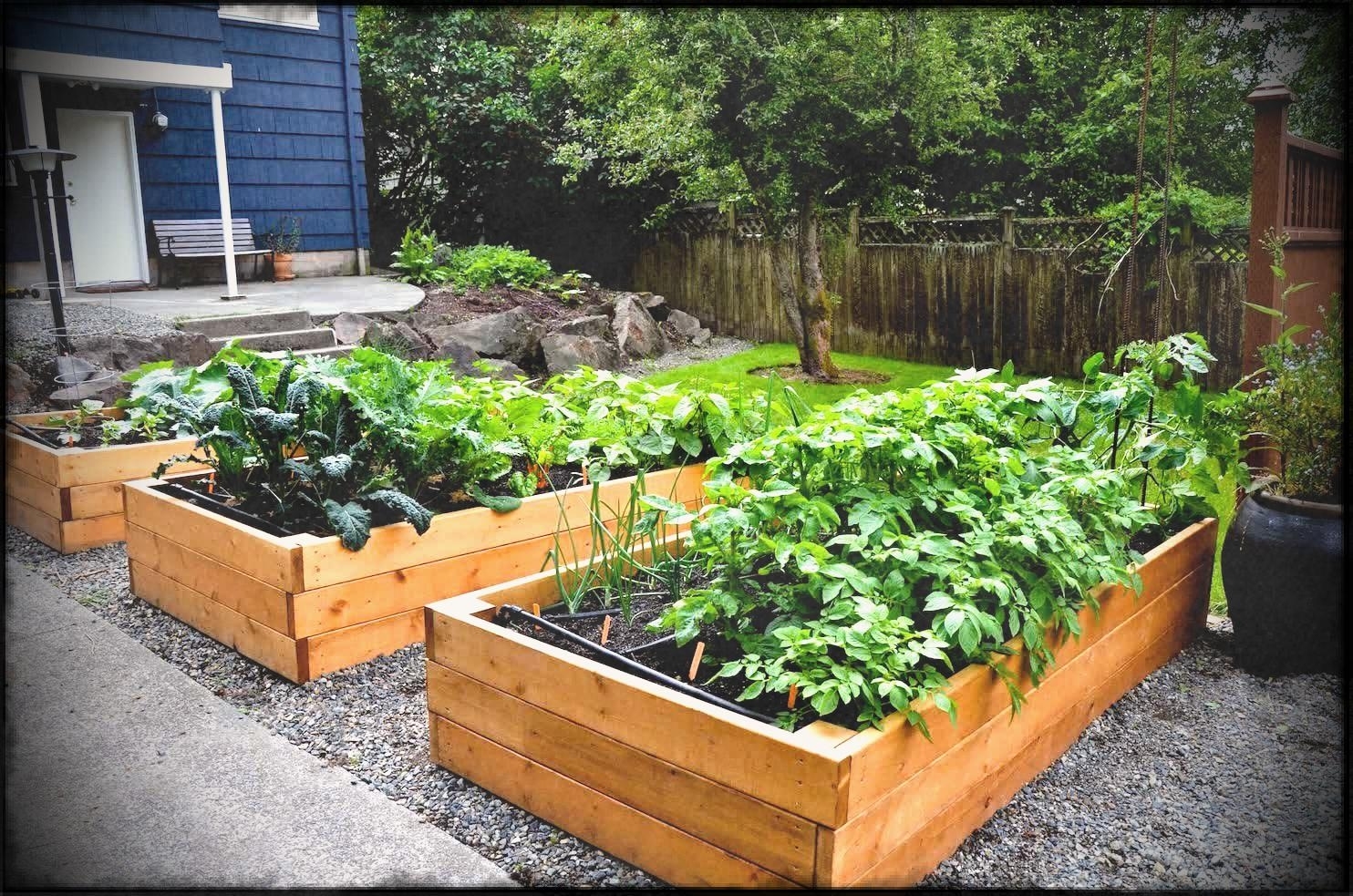 Stunning Container Vegetable Garden Design Ideas