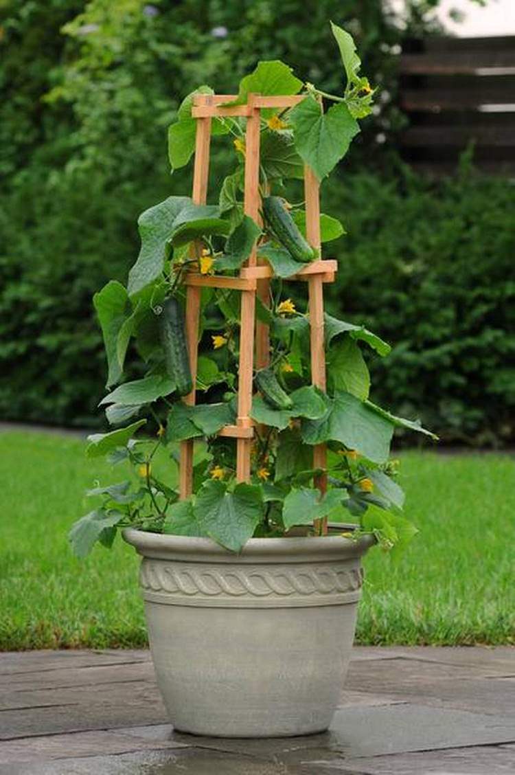 Stunning Container Vegetable Garden Design Ideas