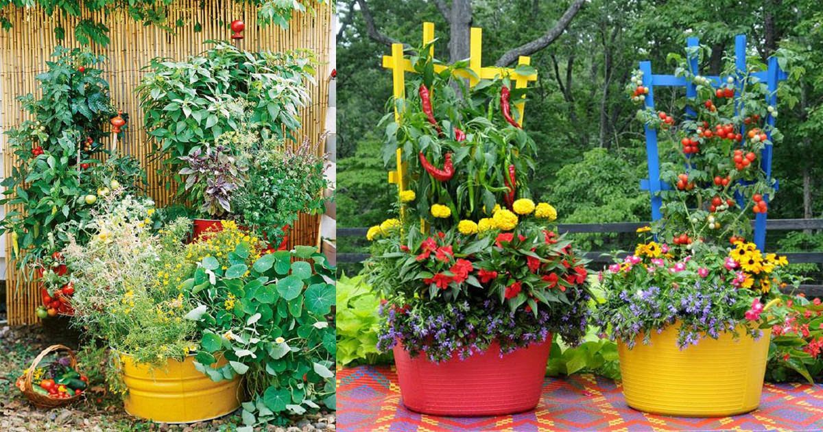 Stunning Container Vegetable Garden Design Ideas