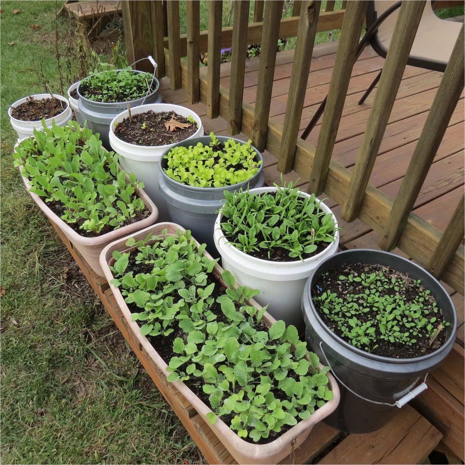 A Tiered Container Garden Southern Patio