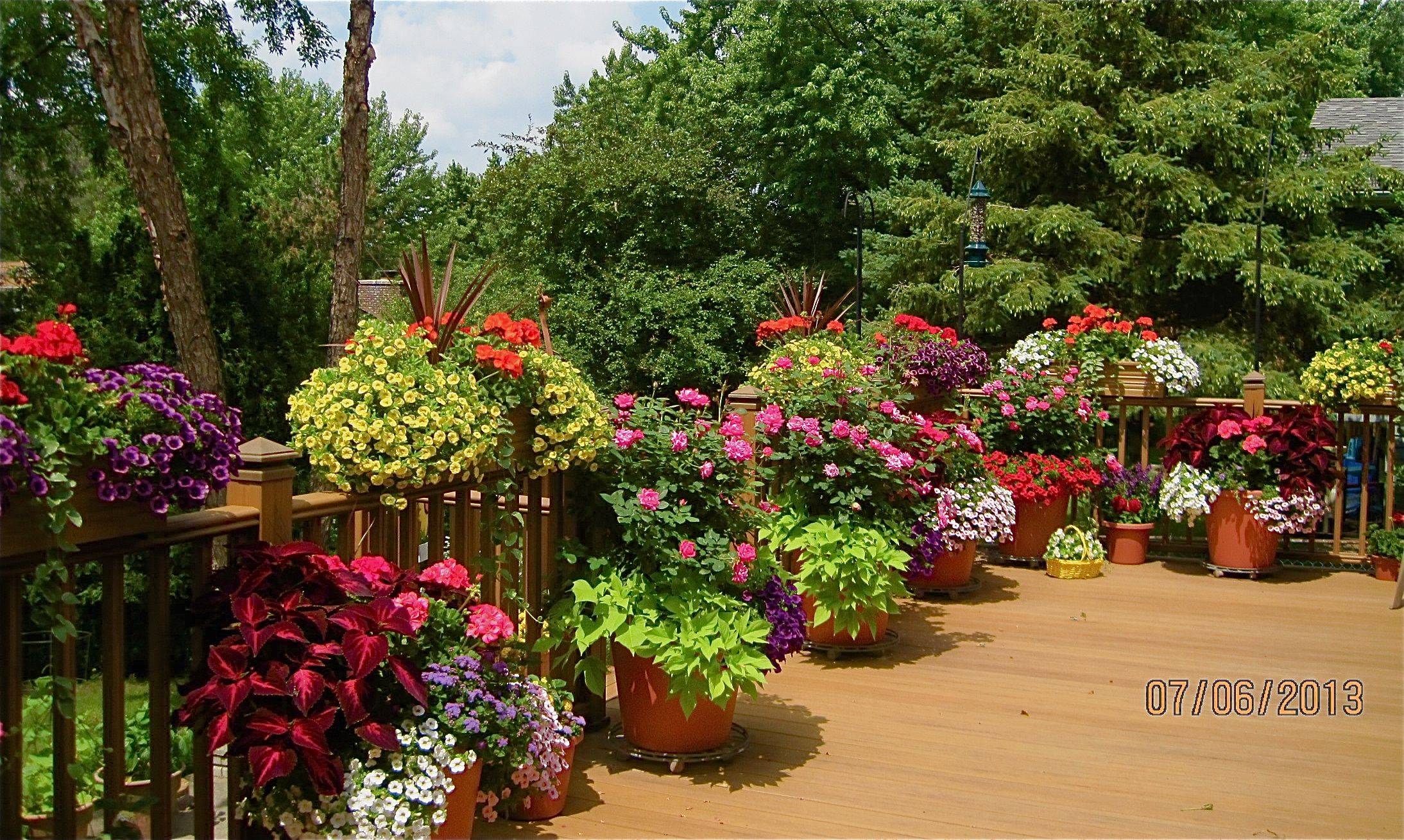 Deck Vegetable Garden Ideas