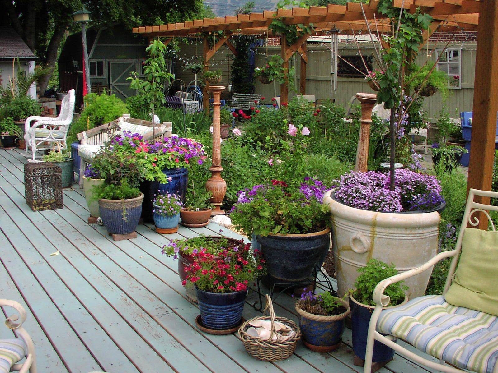 Deck Planting Ideas