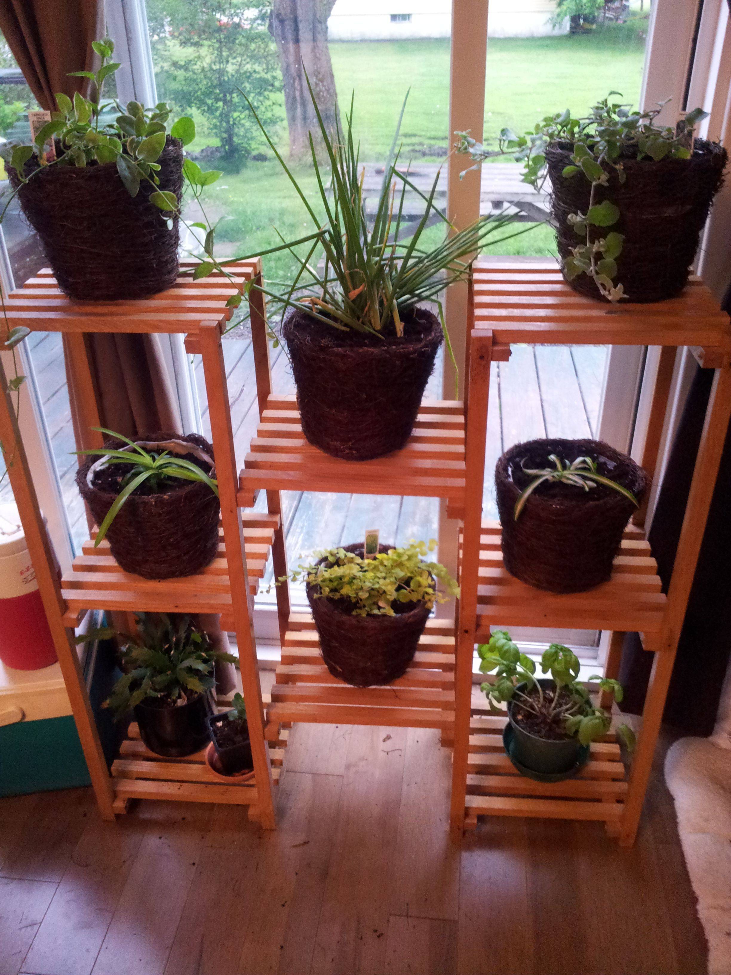 Metal Plant Display Flower Shelves