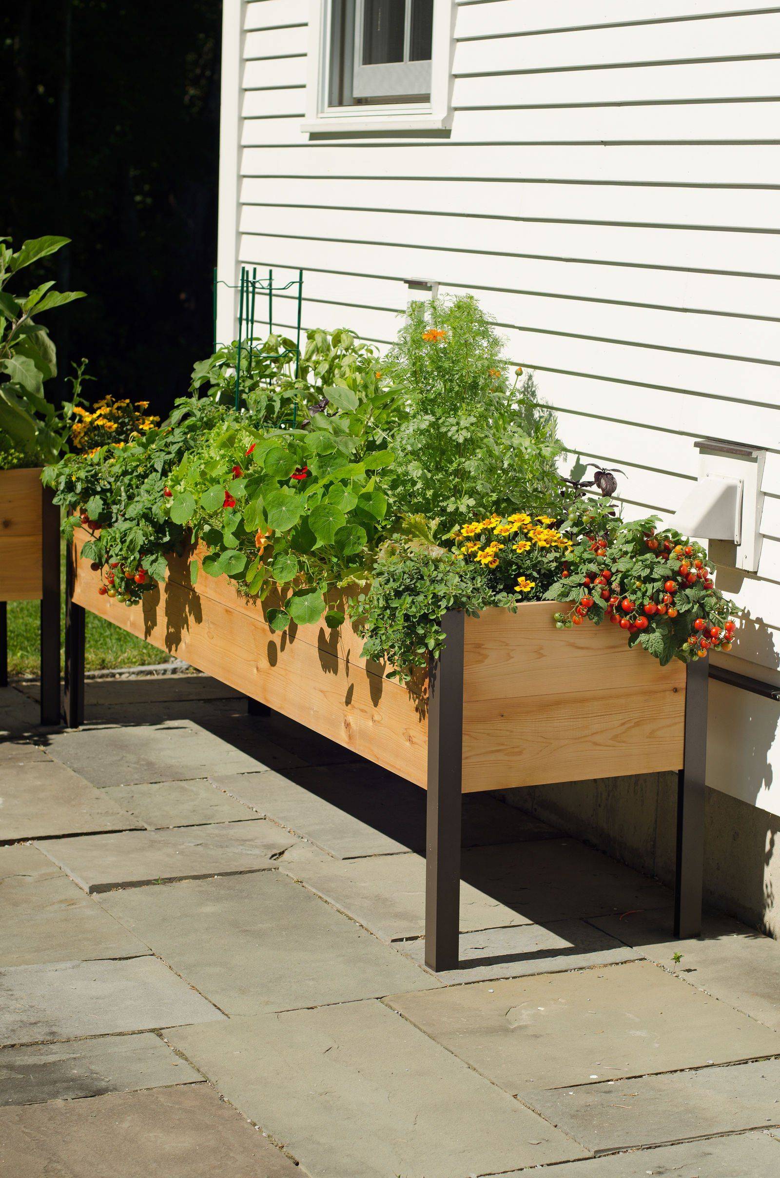 High Tall Modern Redwood Planter