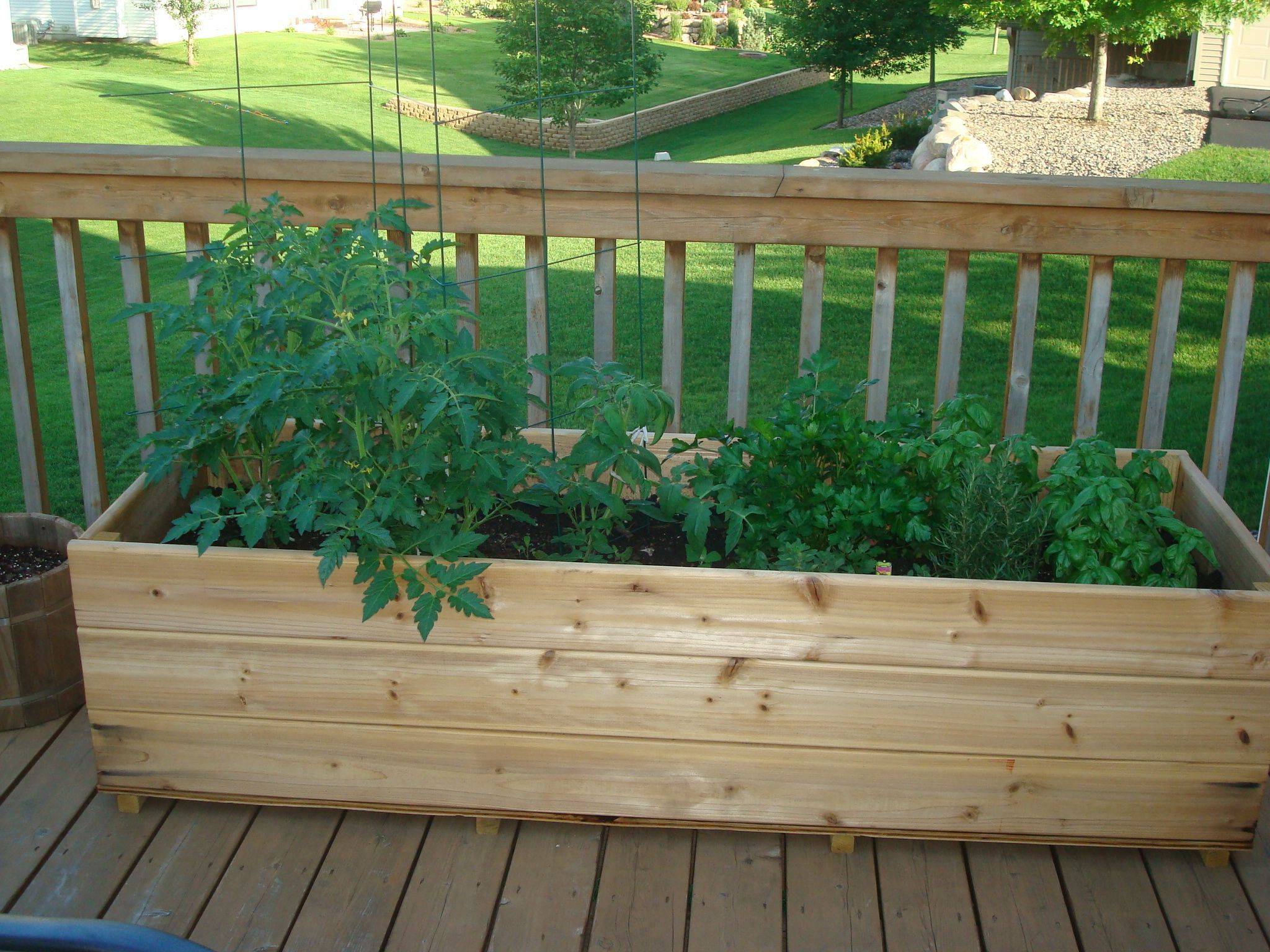 Patio Garden