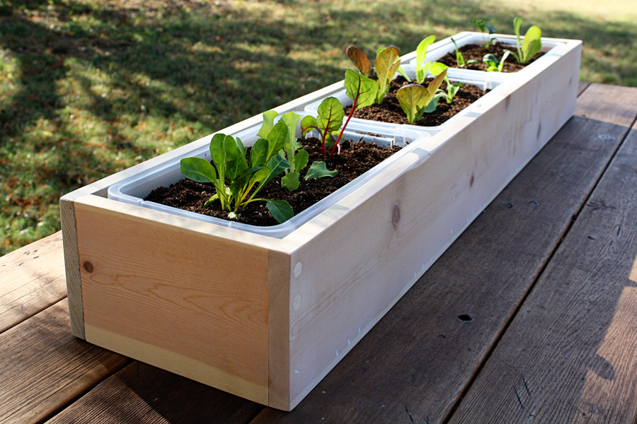 Best Elevated Planter Boxes