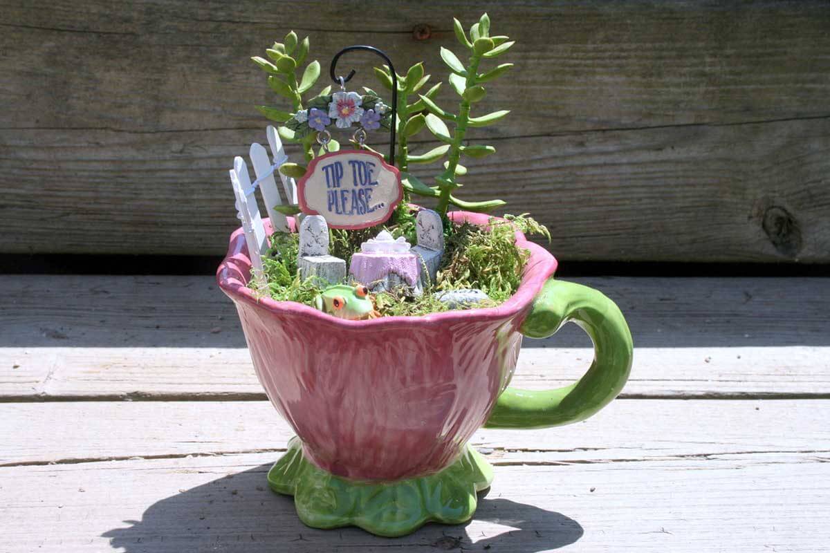 Best Teacup Mini Garden Ideas