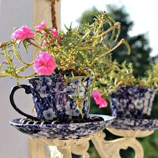 Simple Diy Summer Gardening Teacup Fairy Garden Ideas