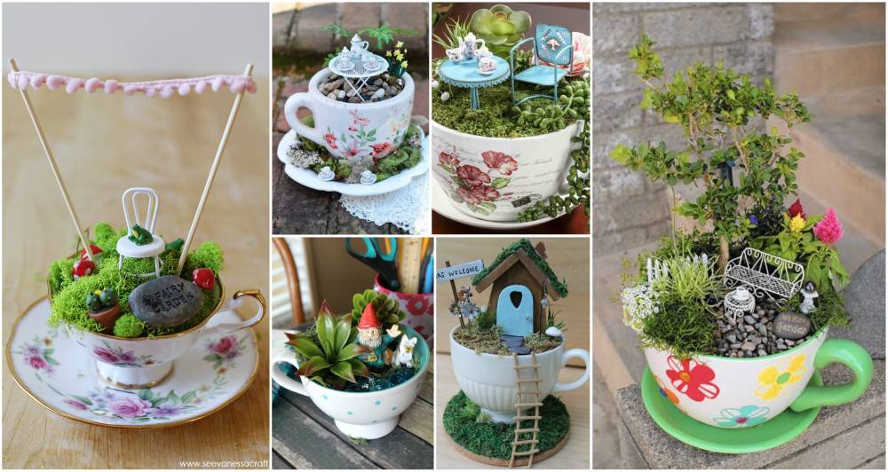 Stunning Diy Tea Cup Fairy Garden Ideas Hoomdesign Teacup Fairy