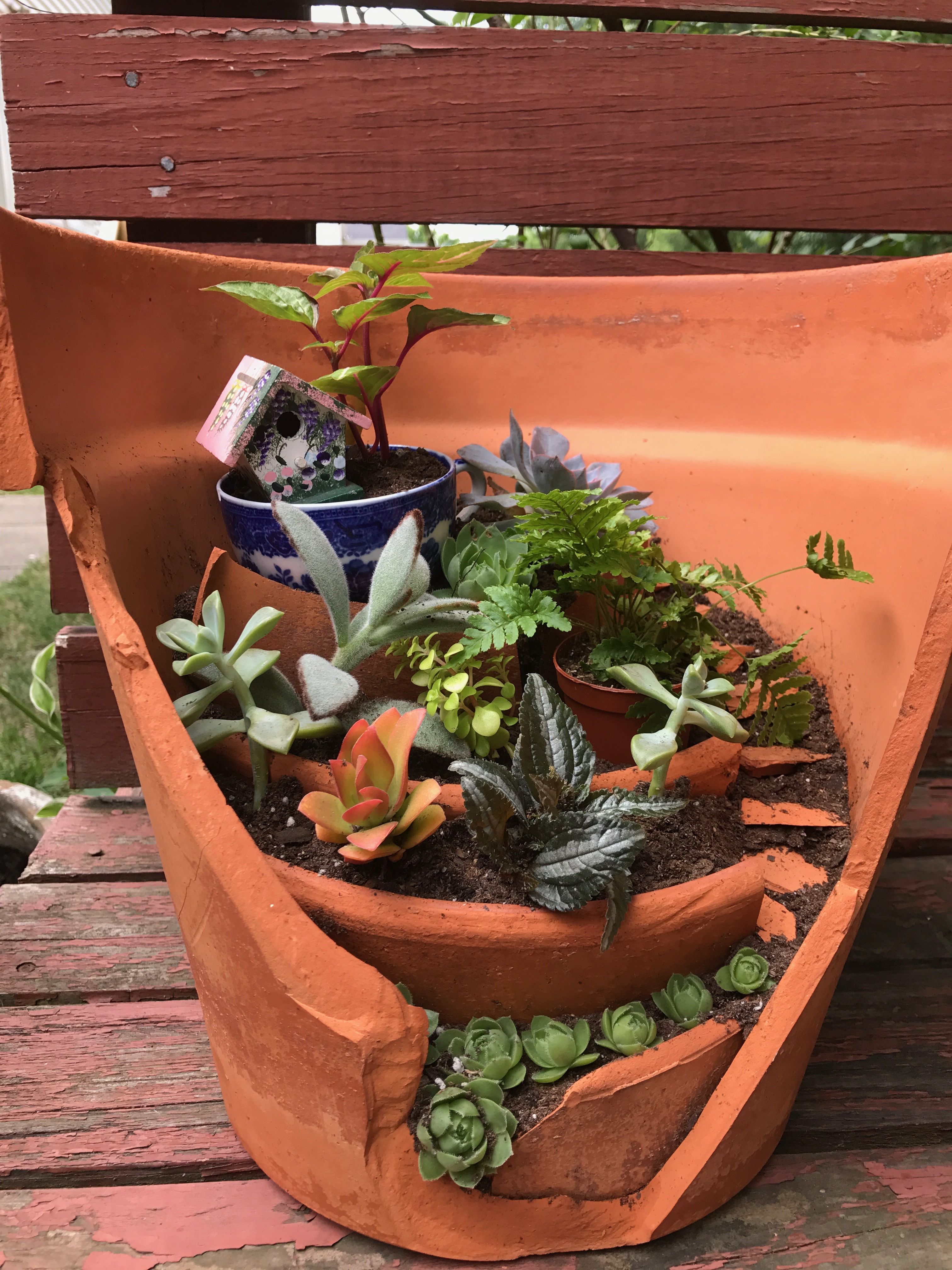 Tree Stump Garden Outdoor