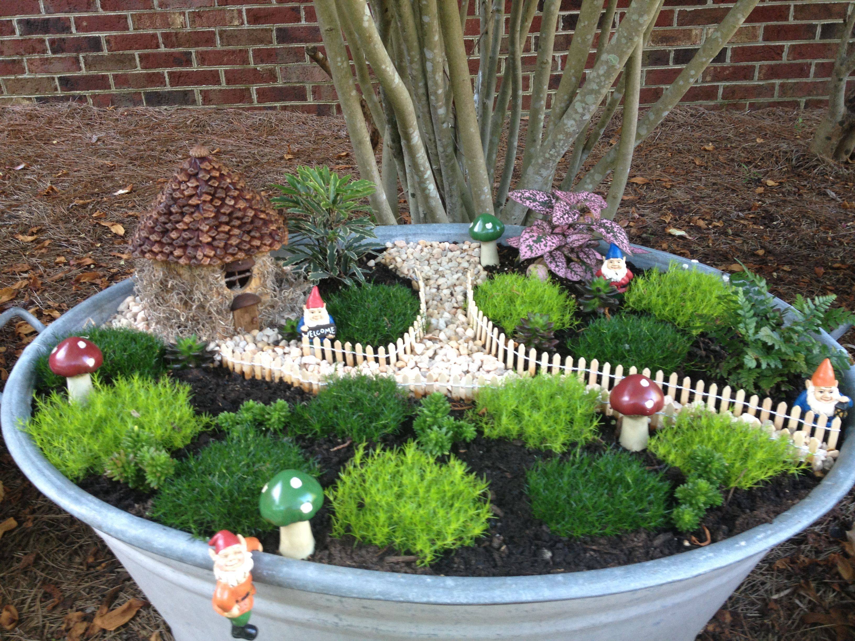 Amazing Fairy Garden Ideas