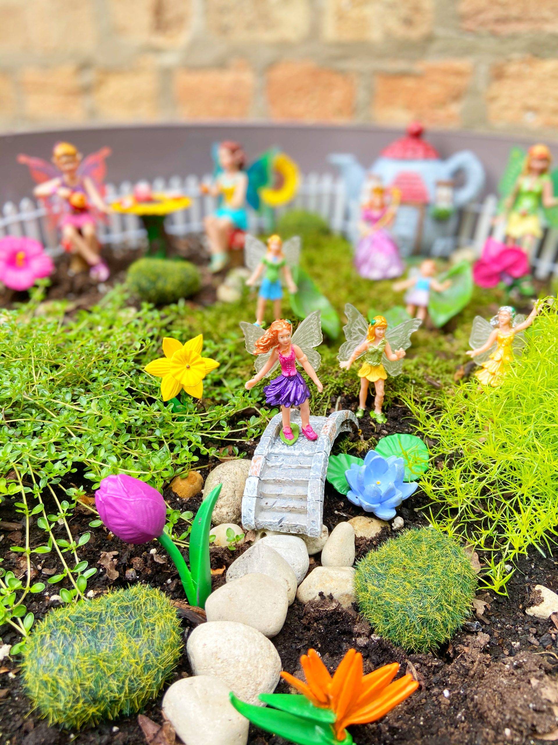 Creative Diy Project Fairy Garden