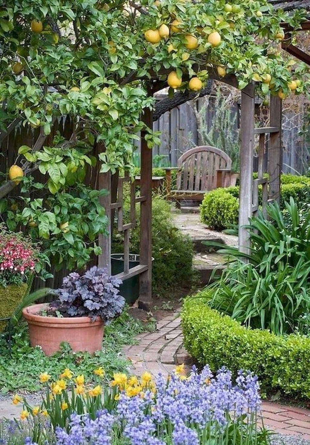 Pinterest Small Backyard Garden Ideas Vastu