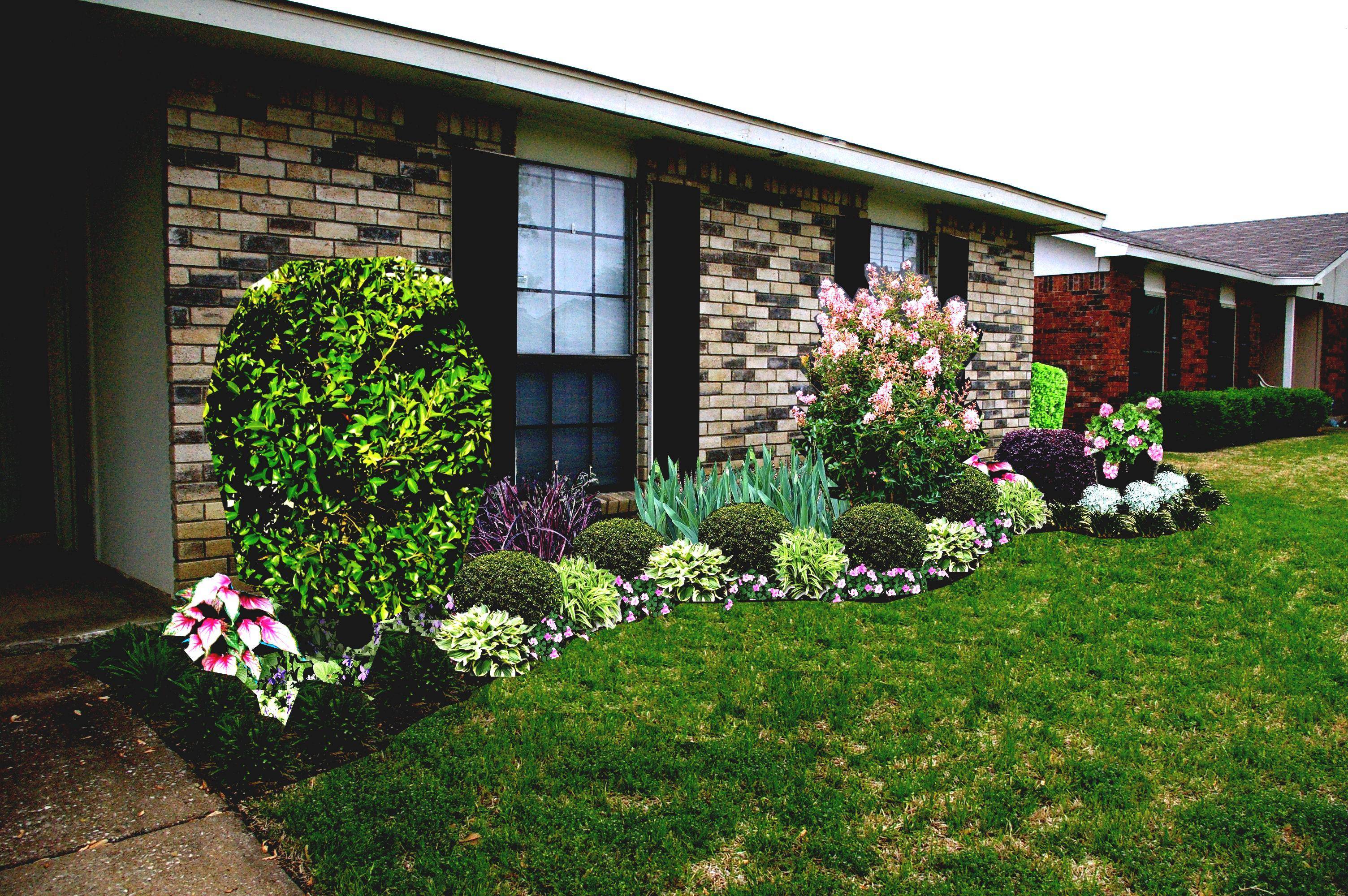A Cute Little Garden