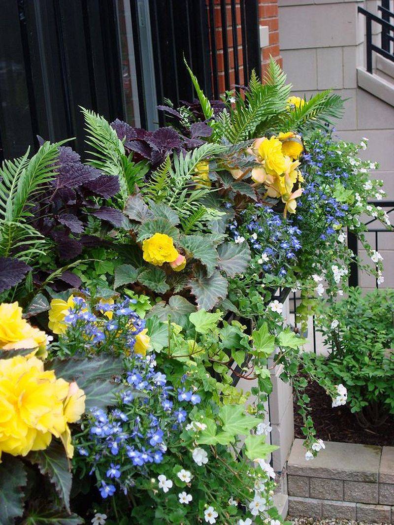 Stunning Container Garden Planting Ideas Container Garden Design
