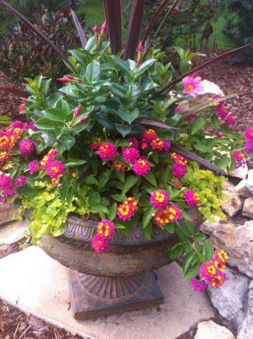 Stunning Container Garden Planting Ideas